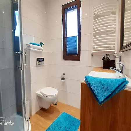 House, Sauna, Whirlpool, 度假居 米耶伦科