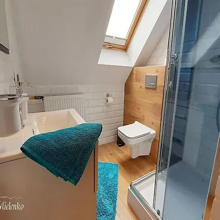 House, Sauna, Whirlpool, 米耶伦科